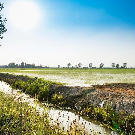 Agriturismo Lecolombare نوغارول روكّا المظهر الخارجي الصورة